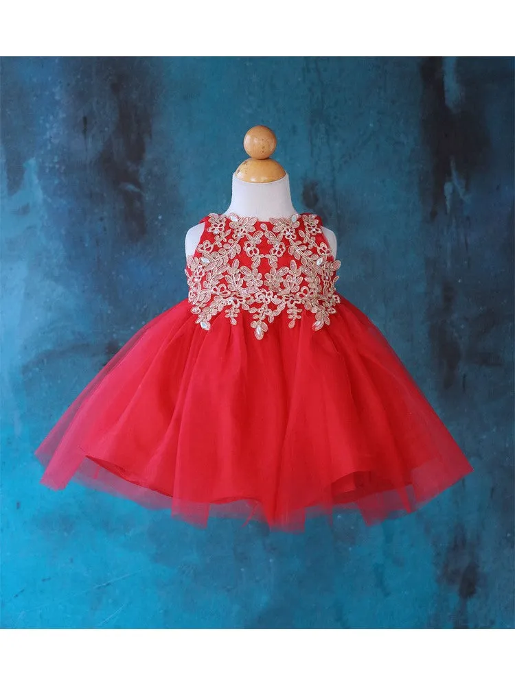 Baby Girls Multi Color Gold Lace Embroidered Tulle Flower Girl Dress 6-24M