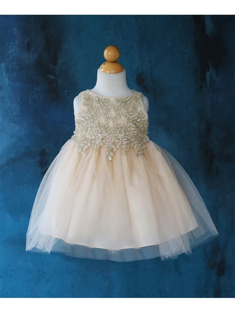 Baby Girls Multi Color Gold Lace Embroidered Tulle Flower Girl Dress 6-24M