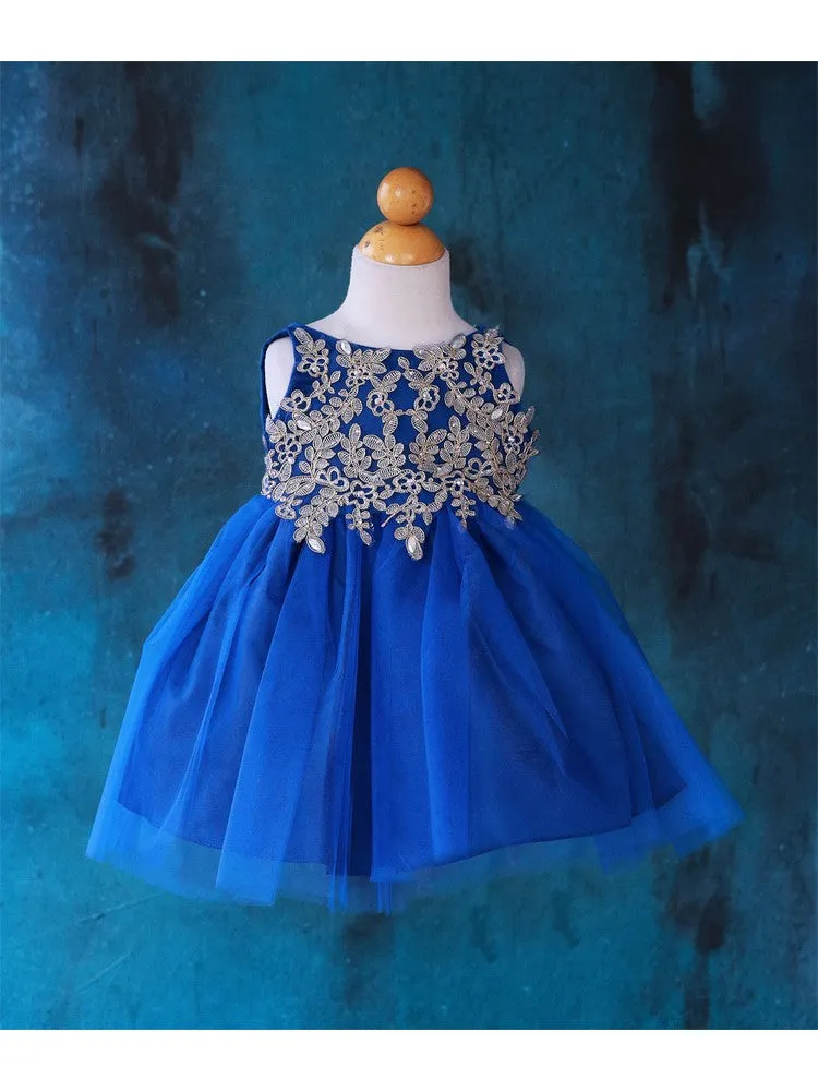 Baby Girls Multi Color Gold Lace Embroidered Tulle Flower Girl Dress 6-24M