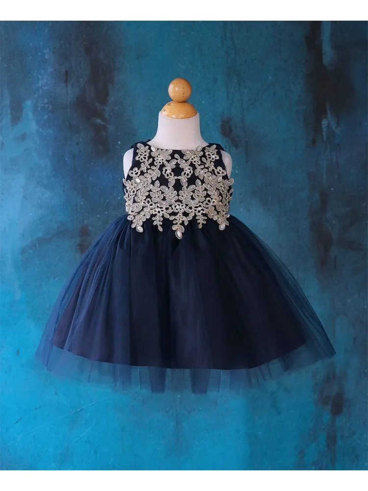 Baby Girls Multi Color Gold Lace Embroidered Tulle Flower Girl Dress 6-24M