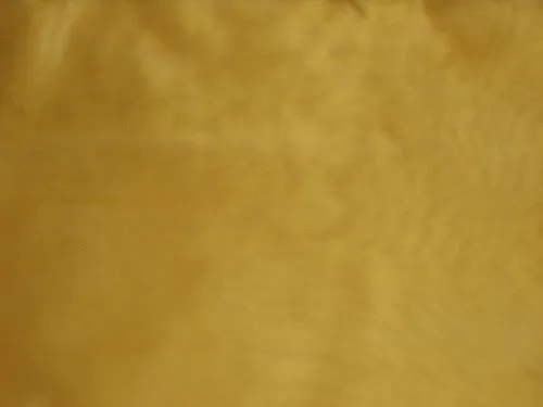 Mustard Gold metalic silk organza ~110