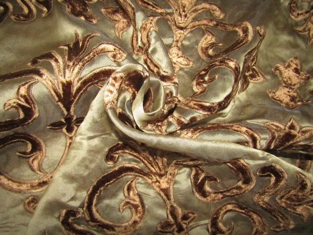 Silk Organza with velvet embroidery available in 2 colors brown and green [9626/9627]
